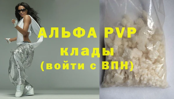 твердый Новозыбков