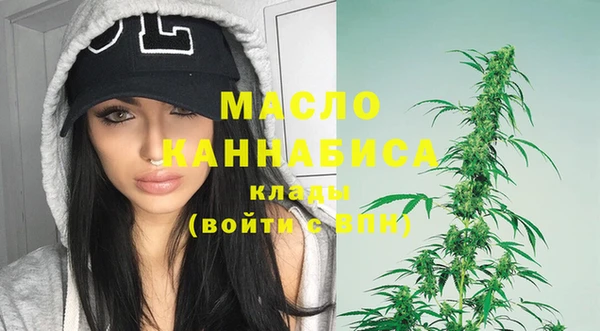 дживик Надым