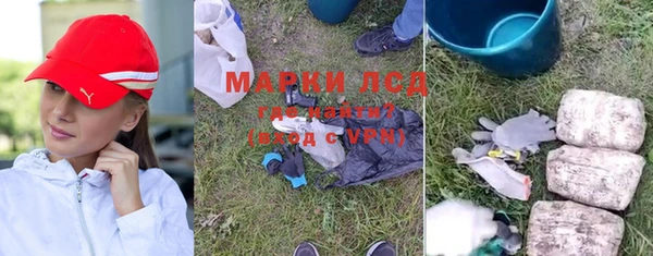 твердый Новозыбков