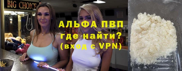 твердый Новозыбков
