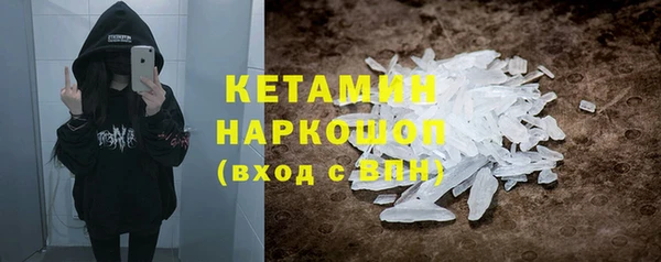 твердый Новозыбков