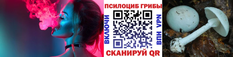 Псилоцибиновые грибы ЛСД мега маркетплейс Малая Вишера